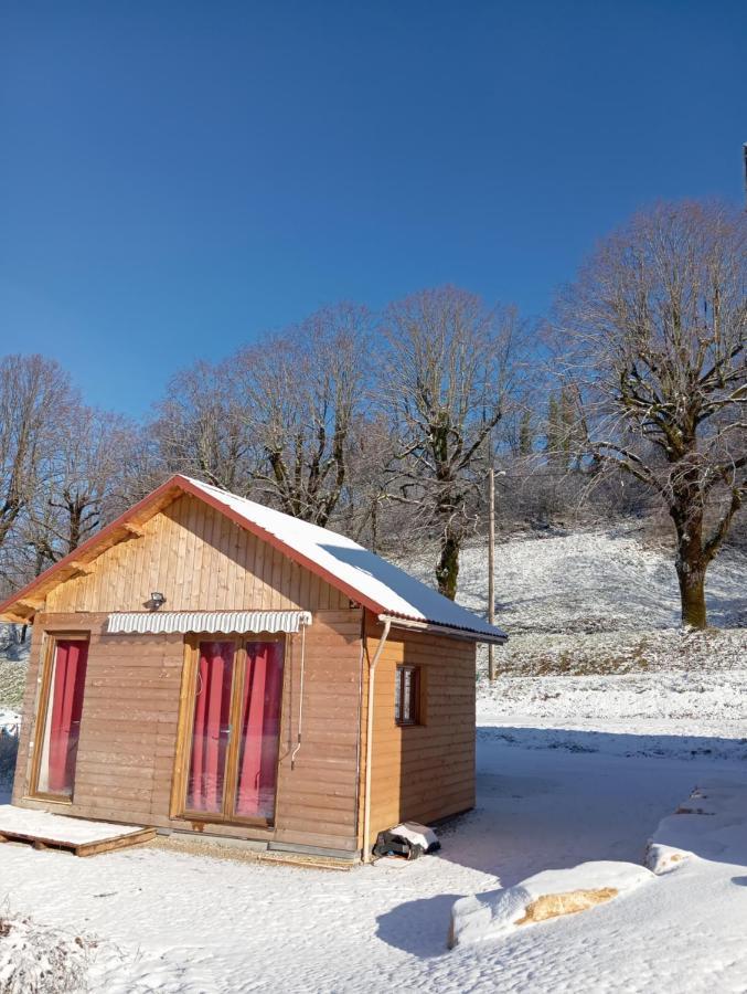La P'Tite Maison Bois Du Herisson Menetrux-en-Joux Eksteriør bilde